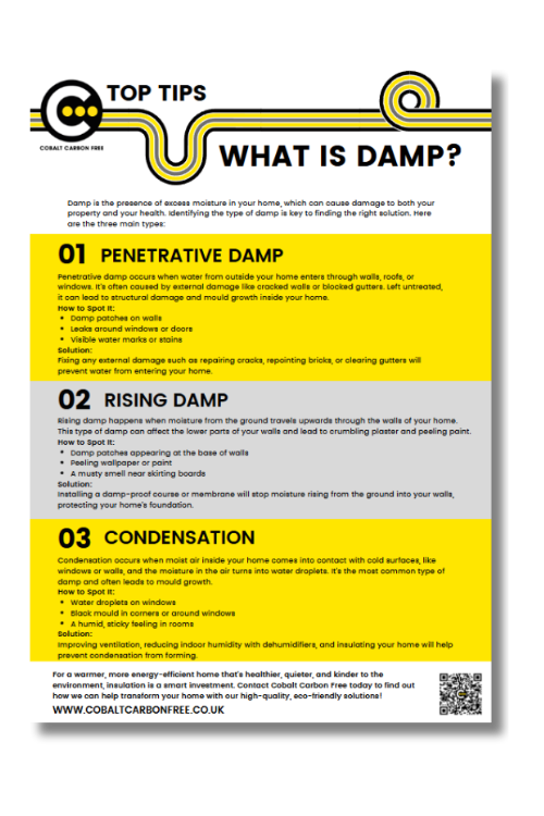 Damp Mockup Damp Mockup