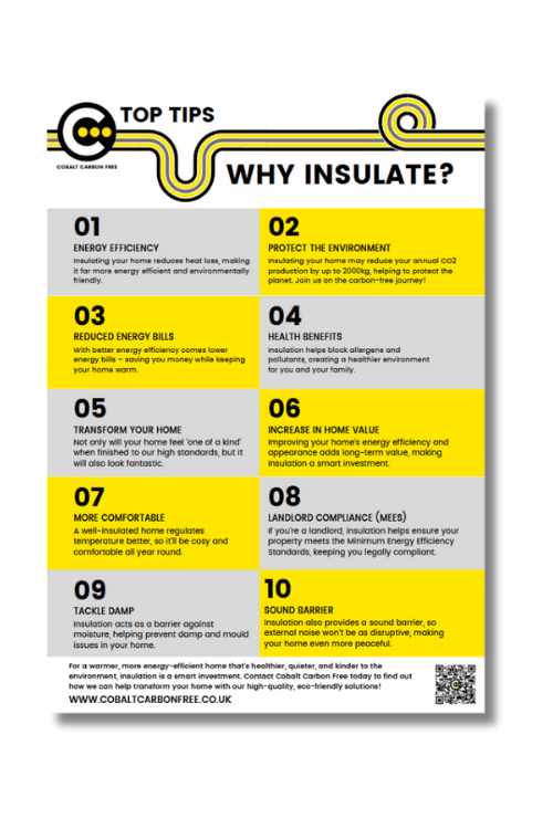 Insulate Mockup Insulate Mockup